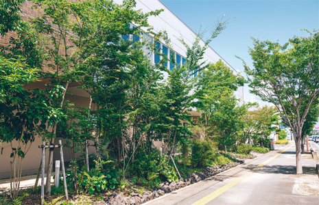 1 和洋多彩なデザイン