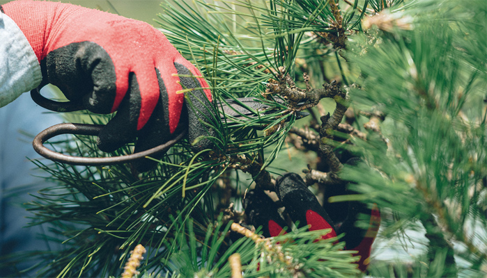 グロウガーデン庭苑について About Us